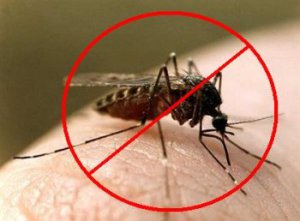 Средства против укусов комаров